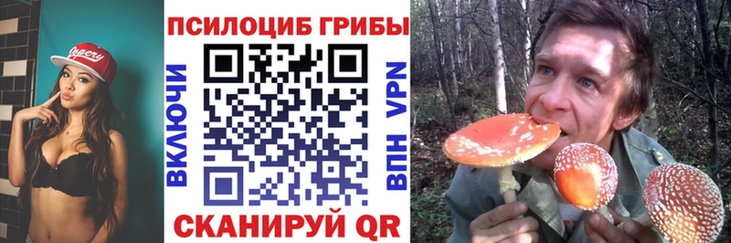 Псилоцибиновые грибы ЛСД  закладки  Павловский Посад 