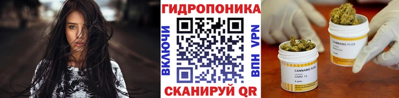 Канабис THC 21%  купить наркотик  Павловский Посад 